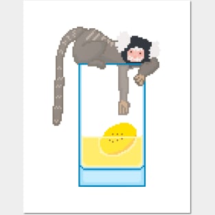 Marmoset with banana drink Posters and Art